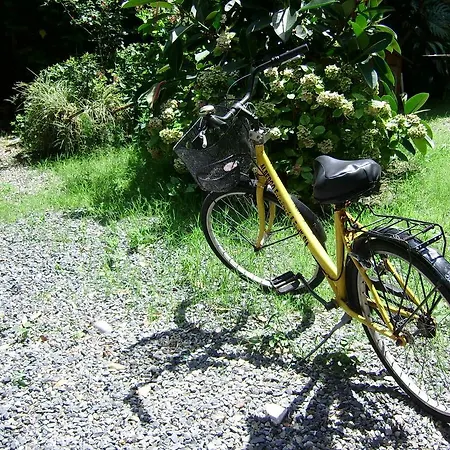 Hotel Fiorenza & Banksia Meuble Alassio