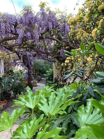 Fiorenza & Banksia Meuble Отель 2*