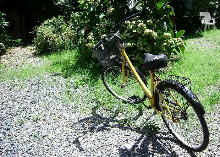 Отель Fiorenza & Banksia Meuble Алассио