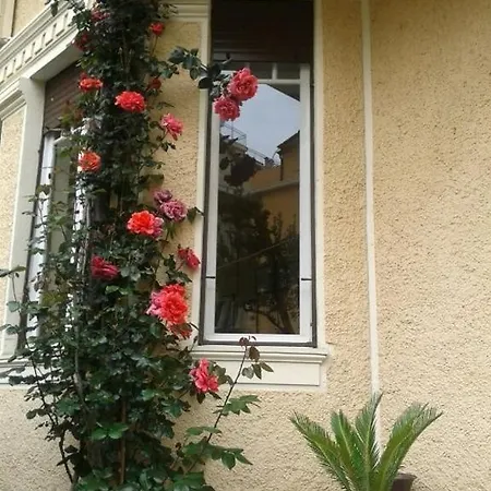 Fiorenza & Banksia Meuble Готель Алассіо