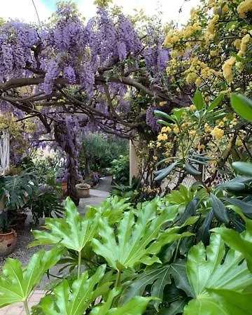 Fiorenza & Banksia Meuble Hotell 2*