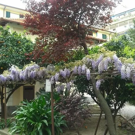 Fiorenza & Banksia Meuble 2* Алассіо