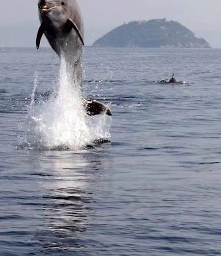 Fiorenza & Banksia Meuble 호텔 2*