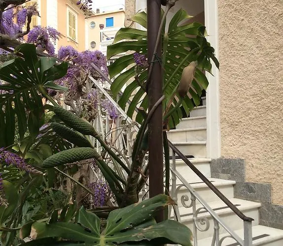 Fiorenza & Banksia Meuble 2* Alassio