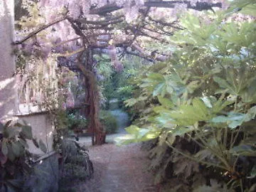 Szálloda Fiorenza & Banksia Meuble 2*