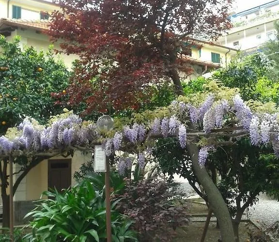 Fiorenza & Banksia Meuble 2* Alassio